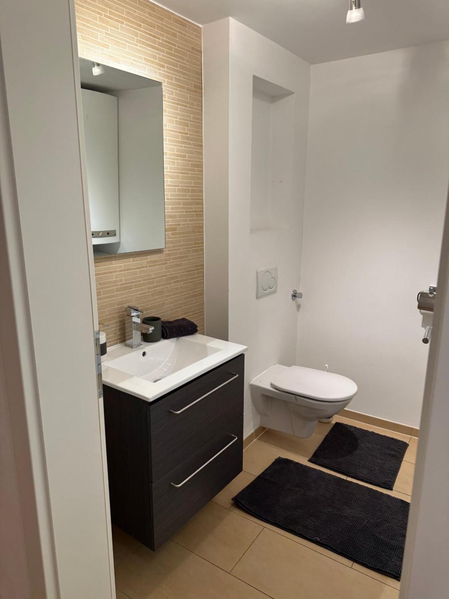 Maisonette-Apartment Mit Grosser Terrasse Im Zentrum Von Bregenz Dış mekan fotoğraf